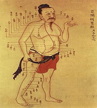The Journey of Acupuncture