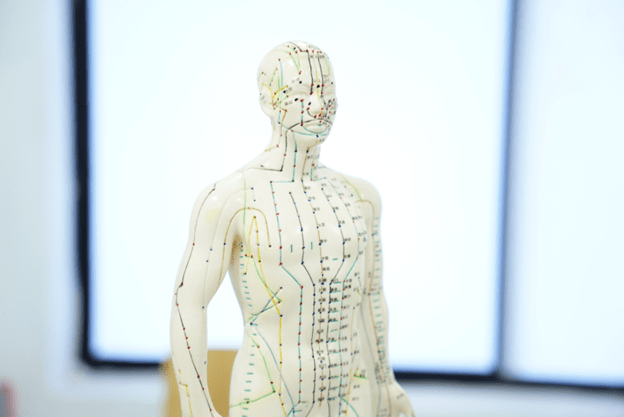 The Journey of Acupuncture