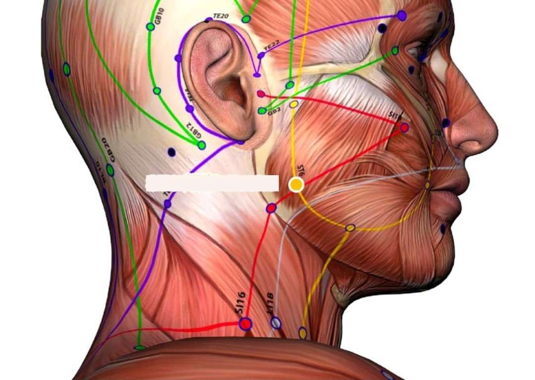 Improve Your Dental Health Naturally with Acupuncture