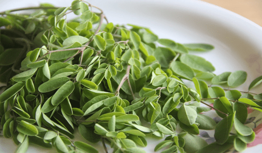 Health Benefits of Moringa Leaf