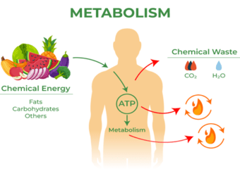Health