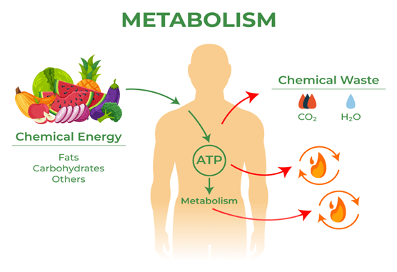 Health